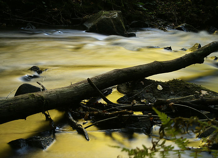 Rosita-gele-rivier