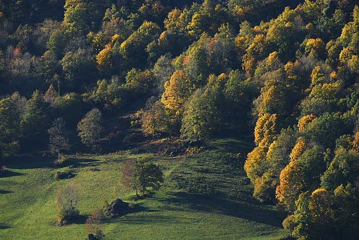 Marjolein-herfst-Puy-Mary