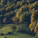 Marjolein-herfst-Puy-Mary