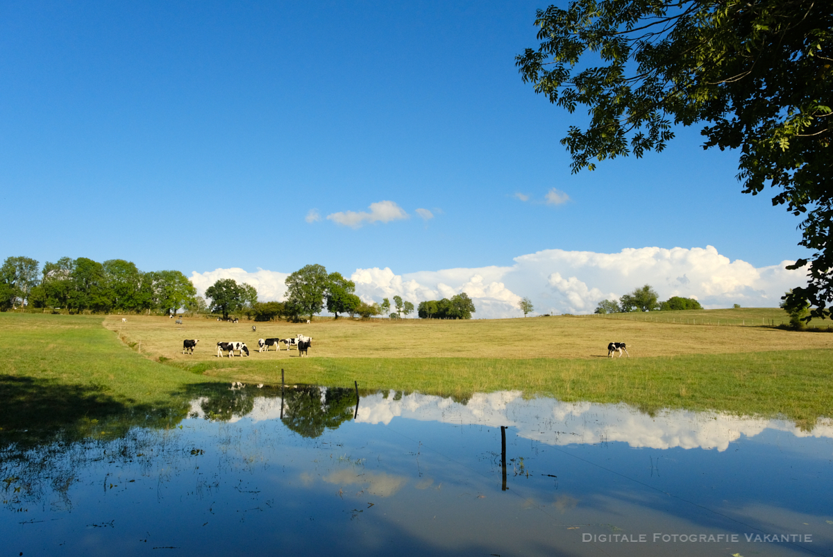 Andries andere landschappen.jpg