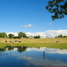 Andries andere landschappen.jpg