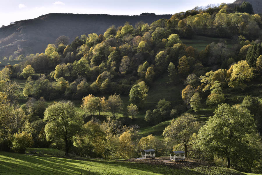 Wim nog groene herfst.jpg