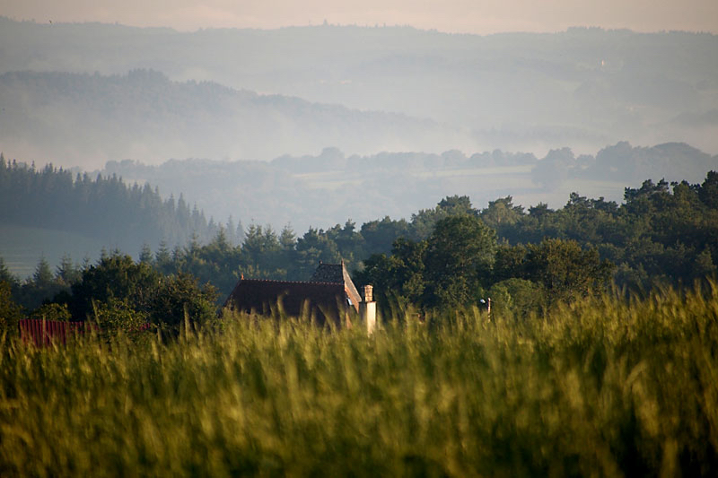 Irma-boven-het-gras.jpg