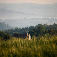 Irma-boven-het-gras.jpg