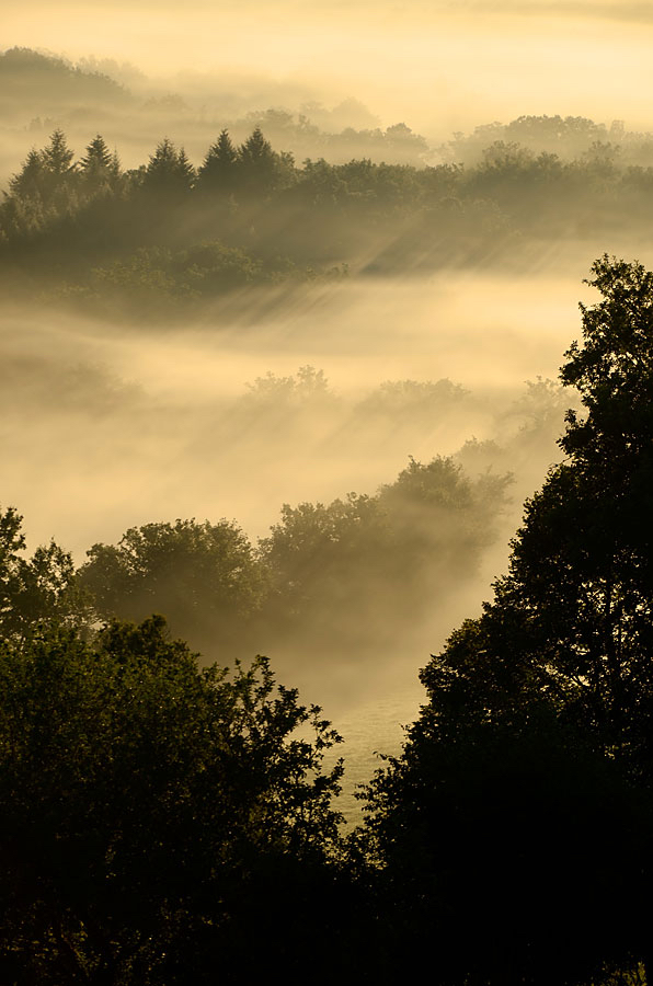 Jacco-burning-forrest.jpg