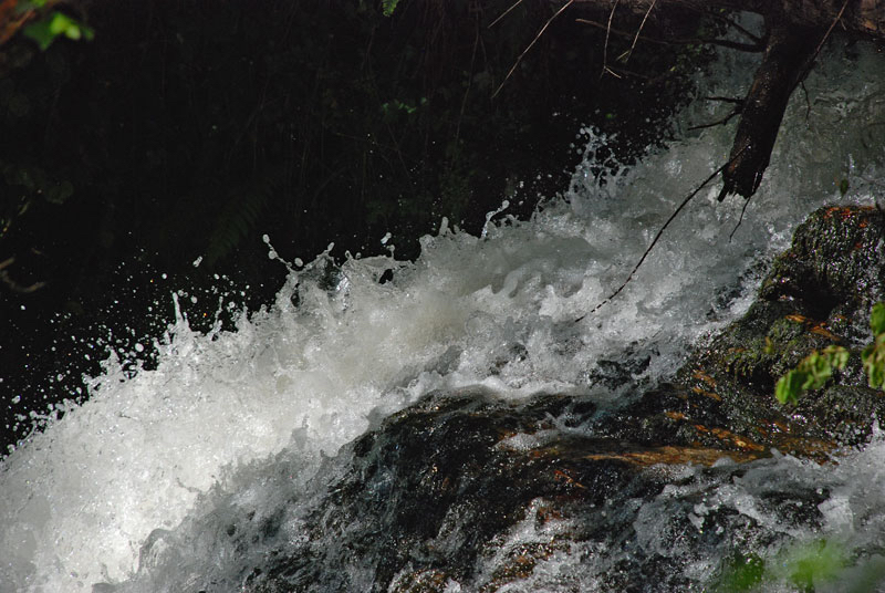 Roelien-snel-water-.jpg