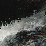 Roelien-snel-water-.jpg