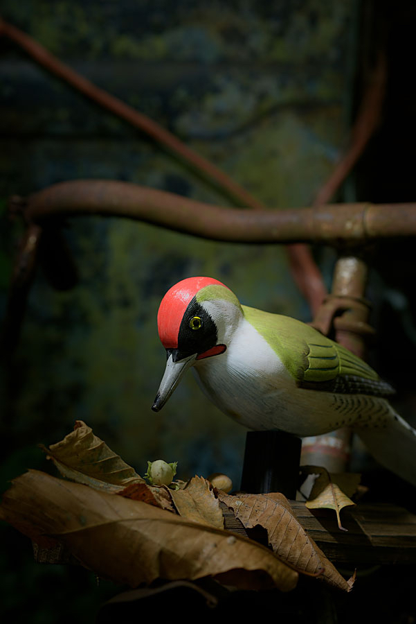 Bas-woody-woodpecker.jpg