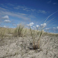 Margot-texelse-duinen.jpg