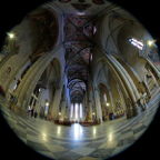 Arezzo-fisheye-rudy.jpg