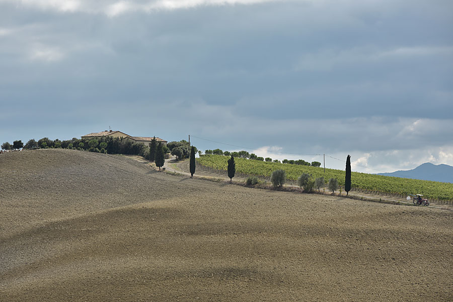 Landschap-mariette.jpg