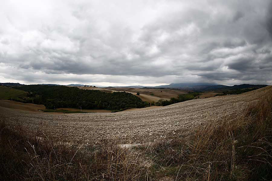 Weids-landschap-rudy.jpg