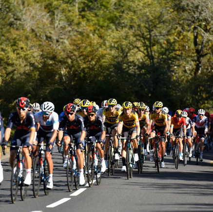 Jan peloton doet rustig aan.jpg