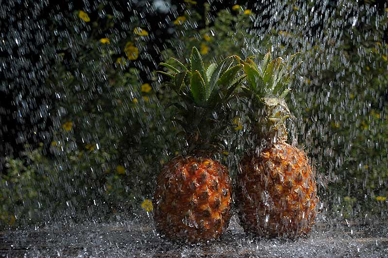 Annelies-ananas-douche.jpg