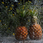 Annelies-ananas-douche.jpg