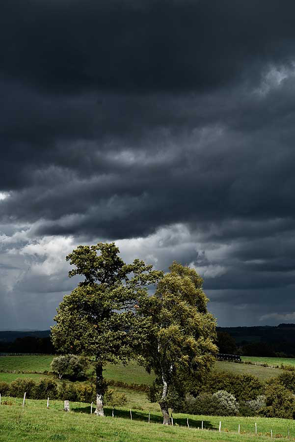 Tonnis-ziet-het-somber-in.jpg