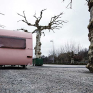 Arjen-roze-caravan.jpg