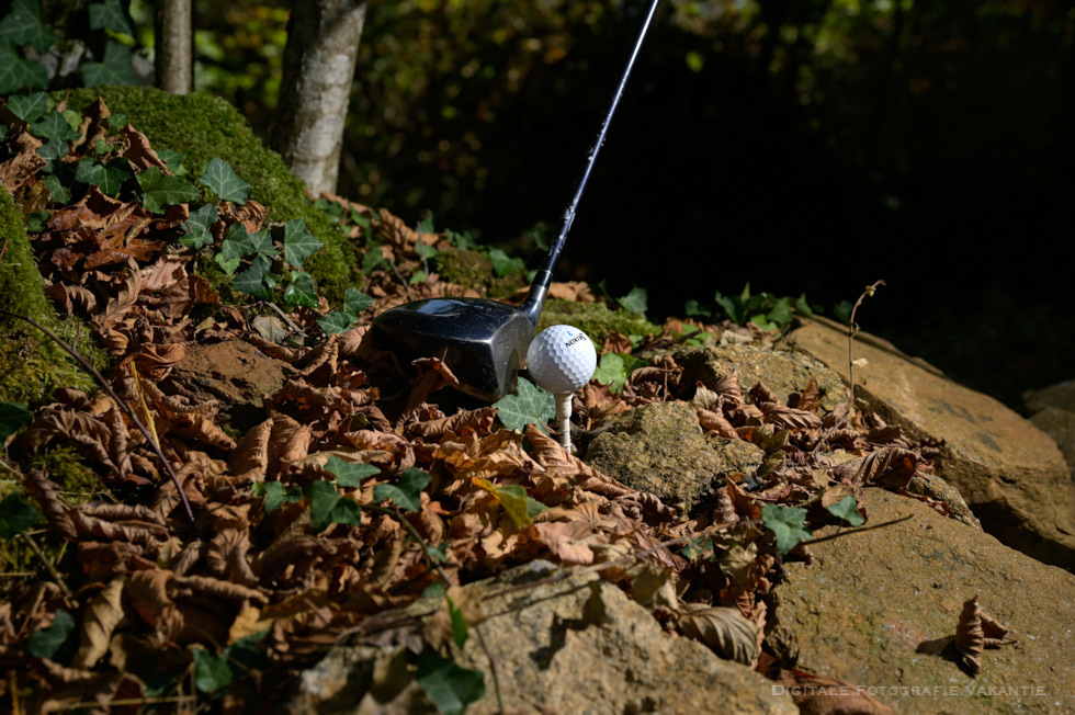 Frank in de bomen.jpg