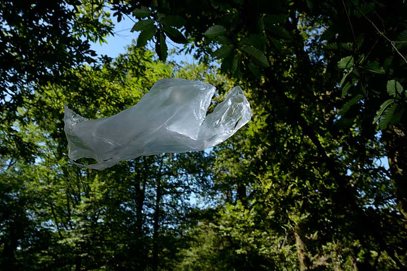 Franny-vraagt-aandacht-voor-plastic-probleem.jpg