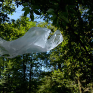 Franny-vraagt-aandacht-voor-plastic-probleem.jpg