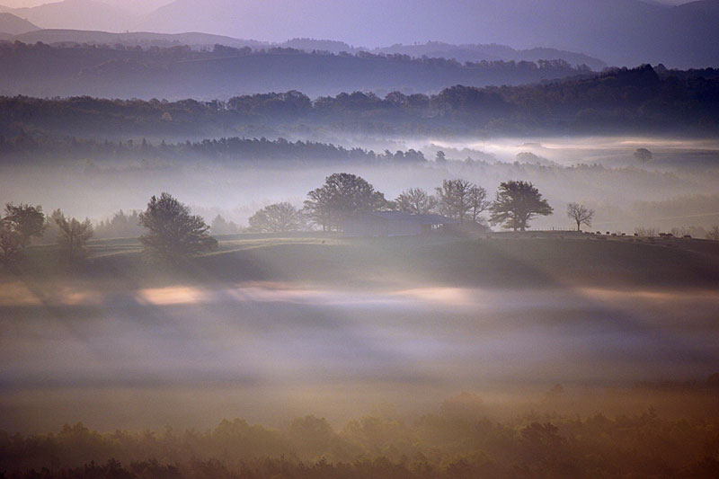 Landschap-Anneke-Nieudan.jpg