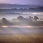 Landschap-Anneke-Nieudan.jpg