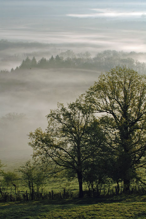 Landschap-bart-kado-van-de-meester