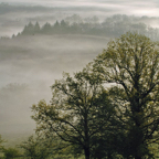 Landschap-bart-kado-van-de-meester